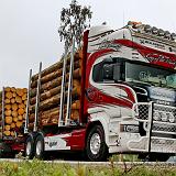 Woodtrans_07